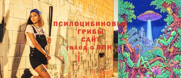ГАЛЛЮЦИНОГЕННЫЕ ГРИБЫ Красноперекопск