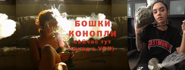 apvp Краснослободск