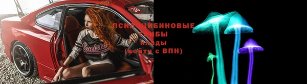 прущий лед Фёдоровский
