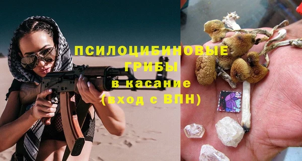 apvp Краснослободск