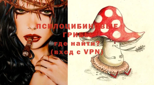 хмурый Коряжма