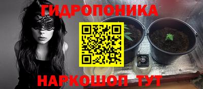 apvp Дубна
