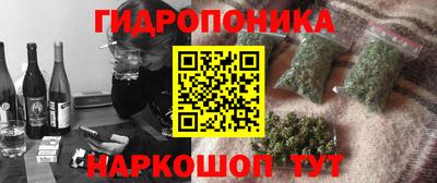 apvp Дубна