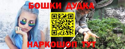 apvp Дубна