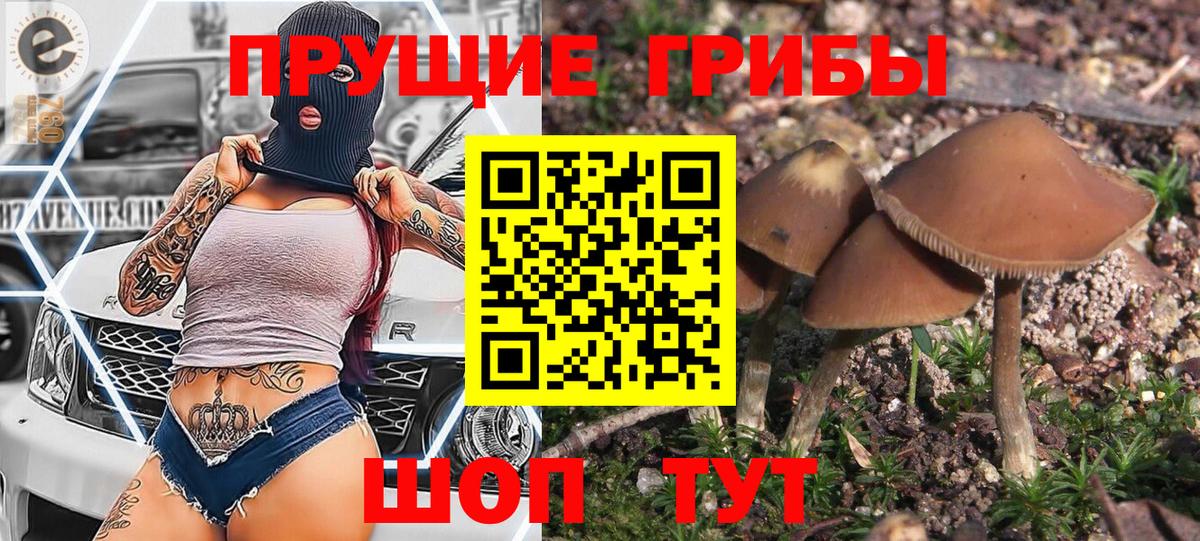 Псилоцибиновые грибы прущие грибы  купить наркоту  Новотроицк  Вход с VPN 