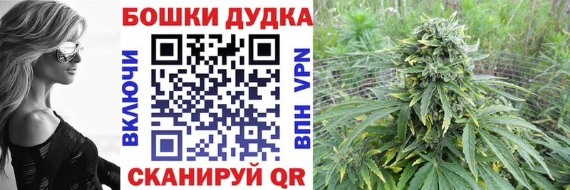 сколько стоит  Новотроицк  Конопля индика 